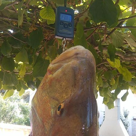 רוביני Apartman Near Beach Pelagic Sea View מראה חיצוני תמונה
